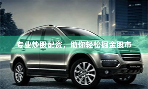 专业炒股配资，助你轻松掘金股市
