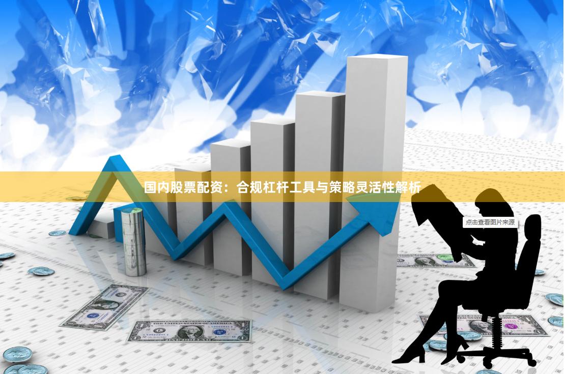 国内股票配资：合规杠杆工具与策略灵活性解析