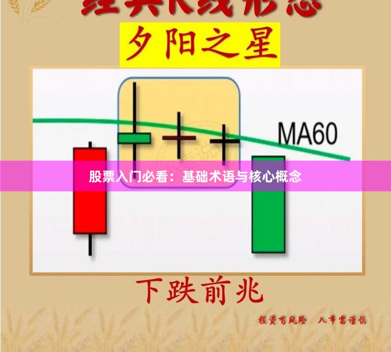 股票入门必看：基础术语与核心概念