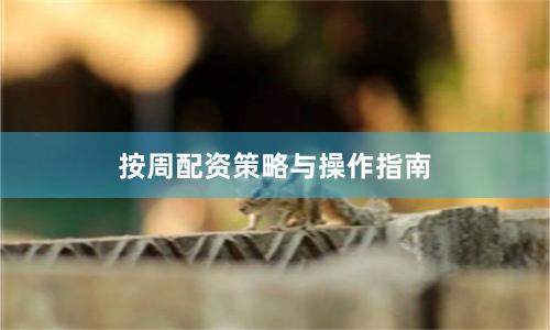 按周配资策略与操作指南